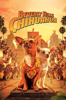 Le Chihuahua de Beverly Hills streaming vf