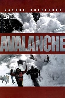 Danger Avalanche streaming vf