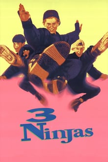 Ninja Kids : Les 3 Ninjas streaming vf