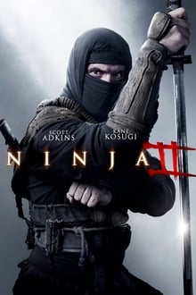 Ninja 2: Ombre d'une déchirure streaming vf