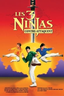 Ninja Kids 2 : Les 3 Ninjas contre-attaquent streaming vf