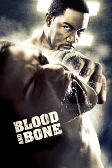 Blood and Bone streaming vf