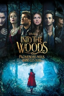 Into the Woods : Promenons-nous dans les bois streaming vf