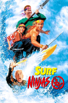 Les Fous Du Surf Ninjas streaming vf