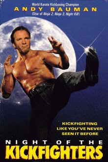 Night of the Kickfighters streaming vf
