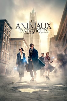 Les Animaux fantastiques streaming vf