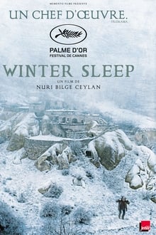 Winter Sleep streaming vf