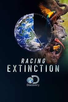 Racing Extinction streaming vf