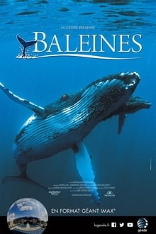 Baleines streaming vf
