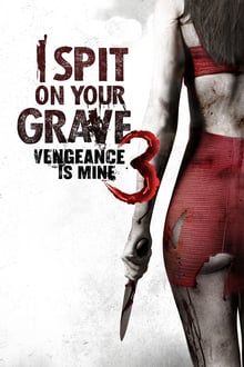 I Spit on Your Grave III: Vengeance is Mine streaming vf