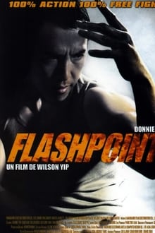 Flashpoint streaming vf