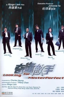 Looking for Mr. Perfect streaming vf