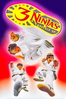 Ninja Kids 3 : Les 3 Ninjas se révoltent streaming vf