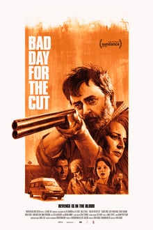 Bad Day for the Cut streaming vf
