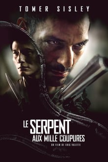 Le Serpent aux mille coupures streaming vf