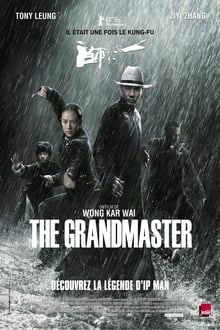 The Grandmaster streaming vf