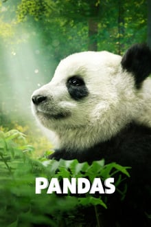 Pandas streaming vf