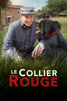Le Collier rouge streaming vf