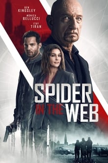Spider in the Web streaming vf