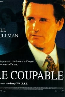 Le Coupable streaming vf