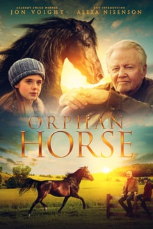 Orphan Horse streaming vf