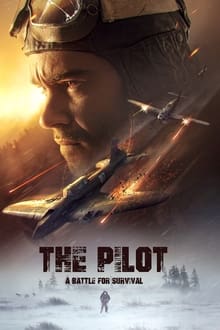 The Pilot : A Battle for Survival streaming vf