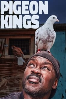 Pigeon Kings streaming vf