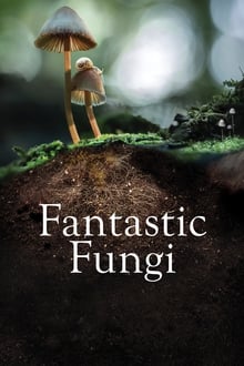 Fantastic Fungi streaming vf