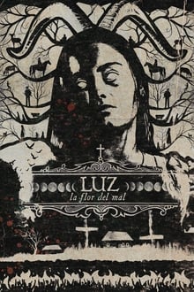 Luz: The Flower of Evil streaming vf