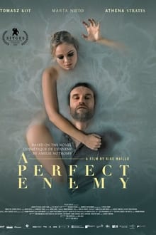 A Perfect Enemy streaming vf