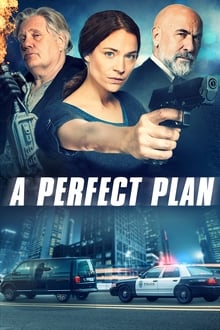 A Perfect Plan streaming vf