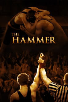 The Hammer streaming vf