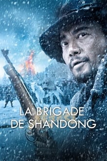 La Brigade de Shandong streaming vf
