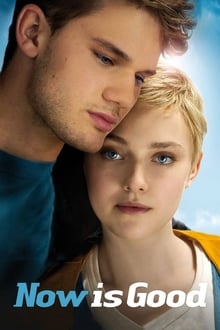 Now Is Good streaming vf