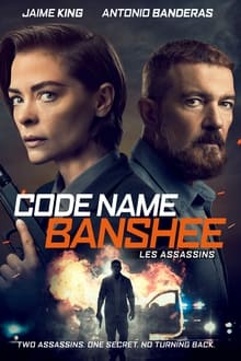 Code Name Banshee streaming vf