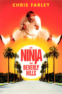 Le Ninja de Beverly Hills streaming vf