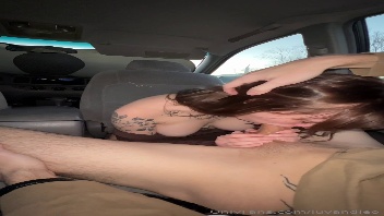 Couple amateur baisant à l'intérieur d'une voiture
